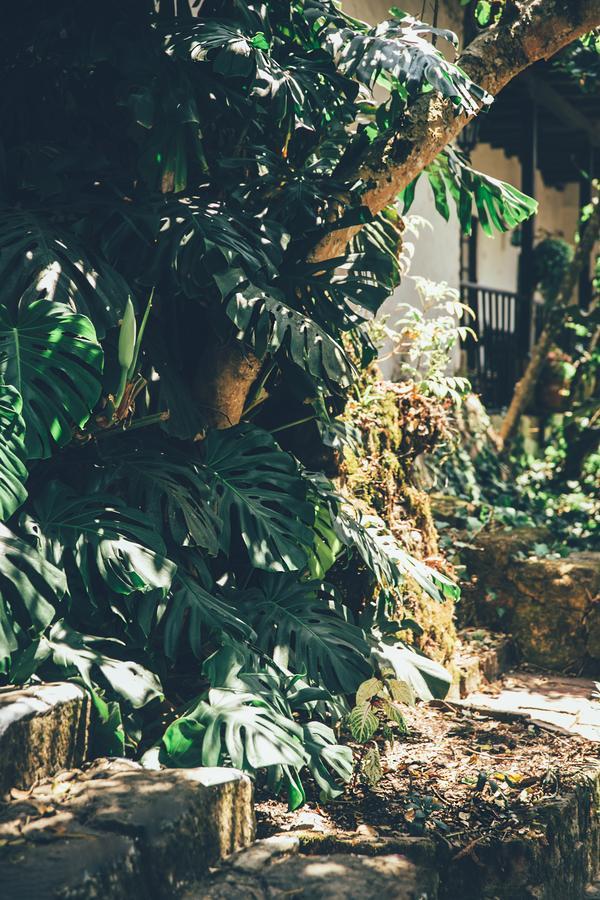 Hotel Hacienda Baza Tibana Εξωτερικό φωτογραφία
