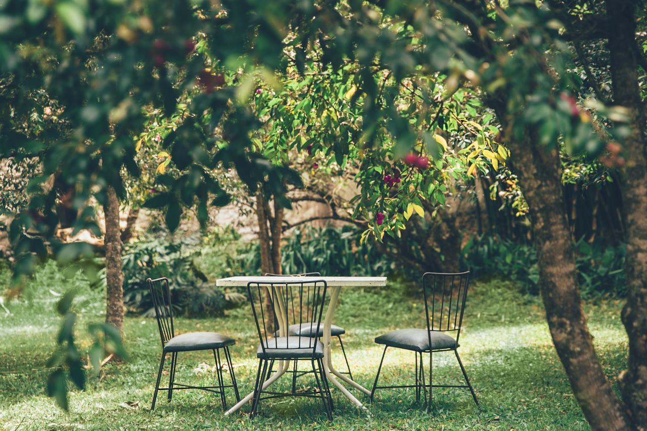 Hotel Hacienda Baza Tibana Εξωτερικό φωτογραφία